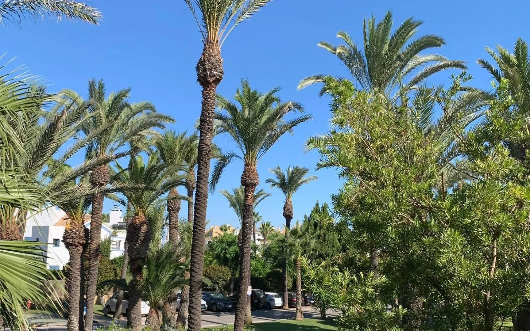 Brisas De Sotogrande Apartment San Roque